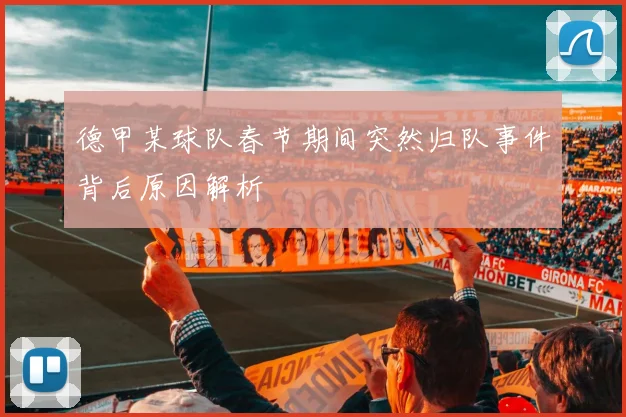 德甲某球队春节期间突然归队事件背后原因解析