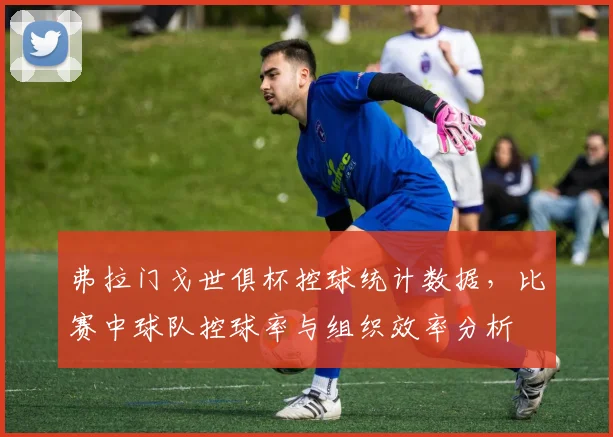 弗拉门戈世俱杯控球统计数据，比赛中球队控球率与组织效率分析