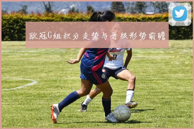 欧冠G组积分走势与晋级形势前瞻